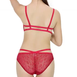 Bộ Đồ Lót Ren Sexy Quyến Rũ – Viena 1005