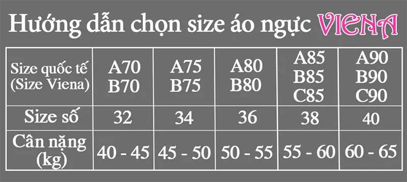 Bản số đo size áo ngực VIENA